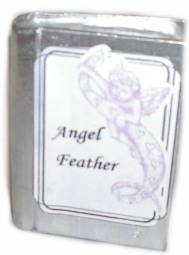Angel Feather Case