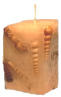 Seashell Candle
