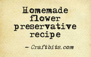 homemade flower preservative recipe