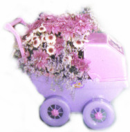 toy pram floral