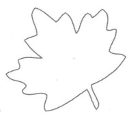 Chalk Scrapbook Leaf Pattern Small