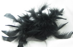 Black FEathers